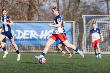 Bild 93 - wBJ Hamburger SV - Hertha BSC : Ergebnis: 2:1